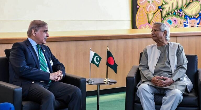 Muhammad-Yunus-Pak-PM-Shehbaz-Sharif-meet-in-Cairo-discuss-1971-issues