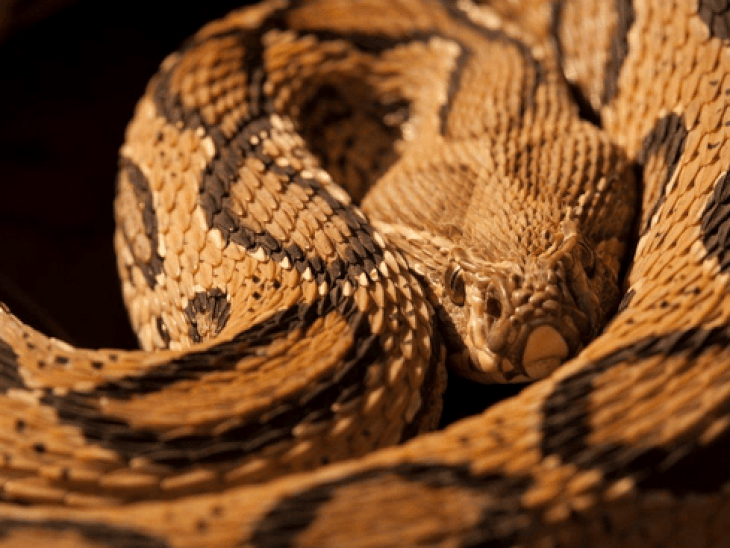 ezgifcom-resize_1774864979.gif