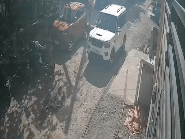gifmagicsite-2_1774791880.gif